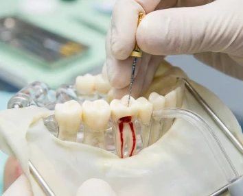 Smiling patient with restored confidence after procedure with dental implants